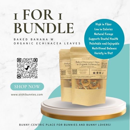 1 For 1 Special Bundle - Baked Banana Chips with Organic Dandelion Leaves/Echinacea Leaves (25g + 25g)