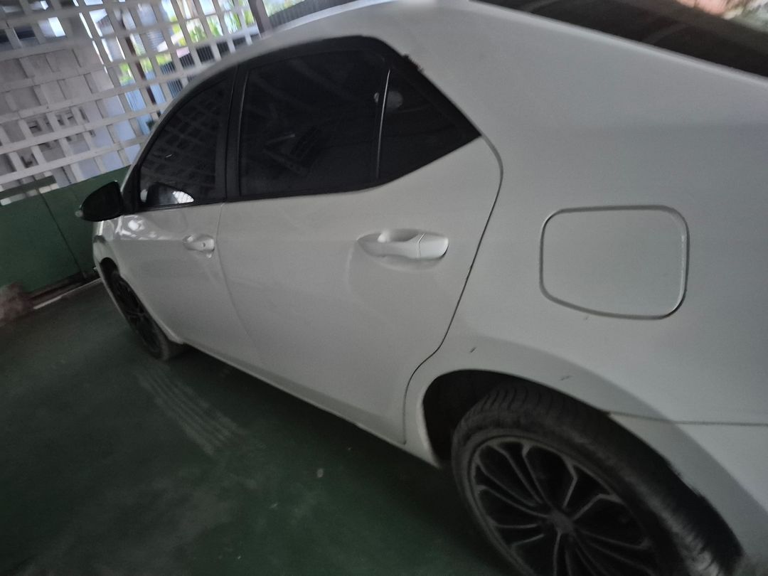 Car Rental