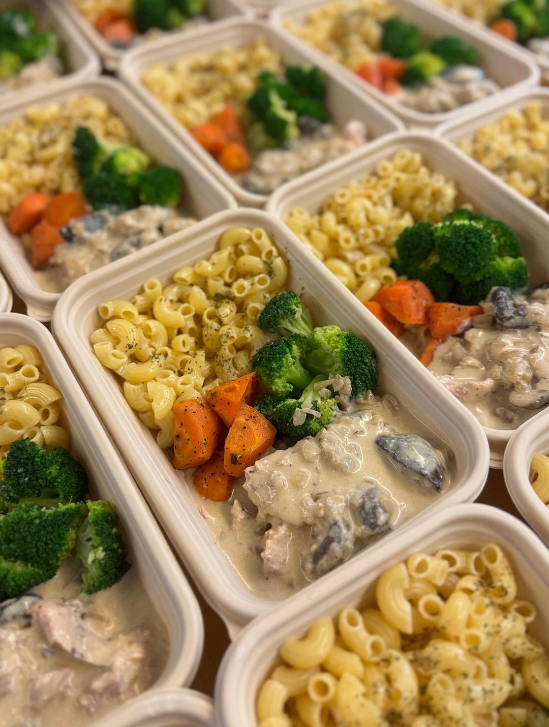 Chicken Stroganoff Macaroni 