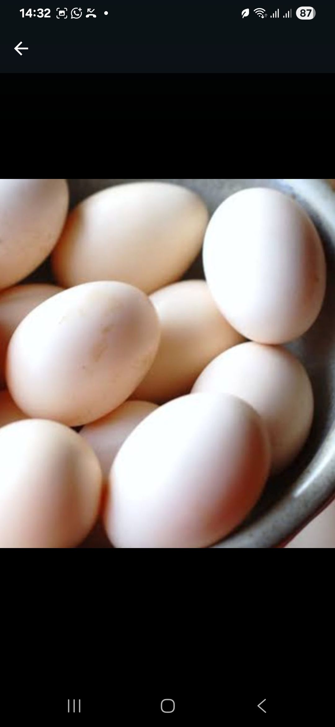 Habesha eggs