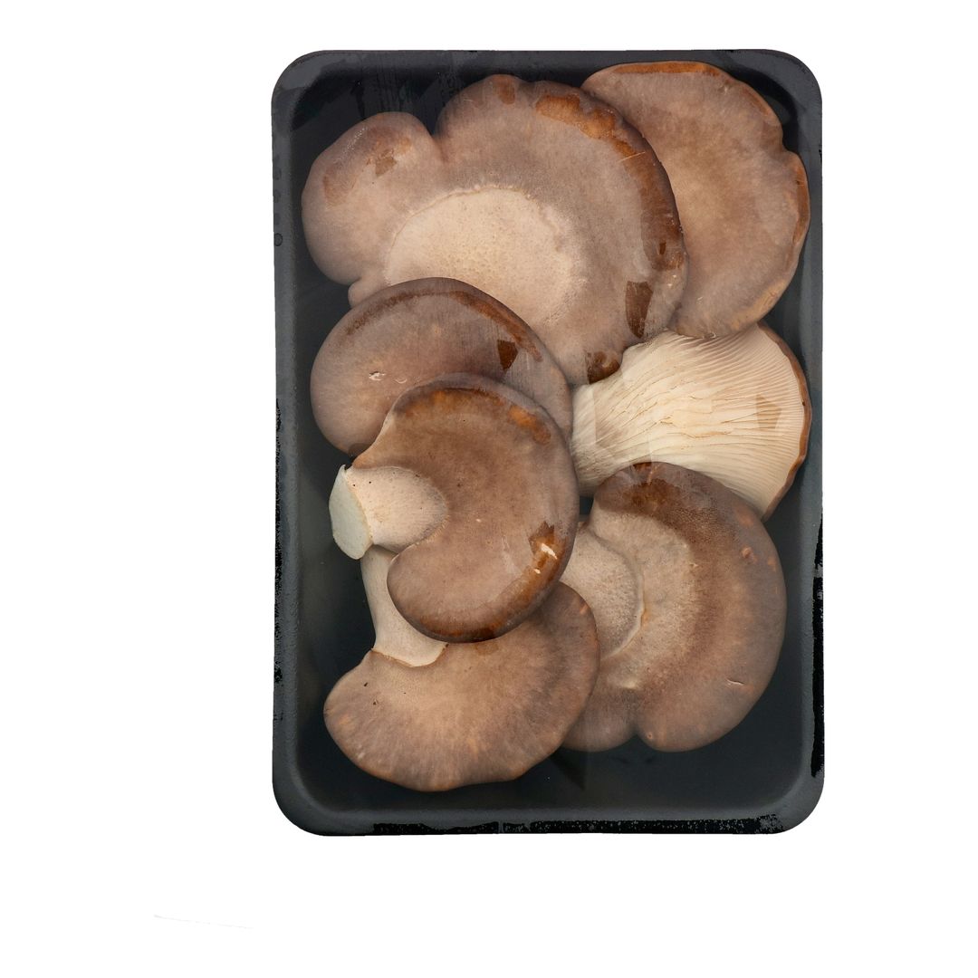 SG Fresh Abalone Mushroom 鮑魚菇