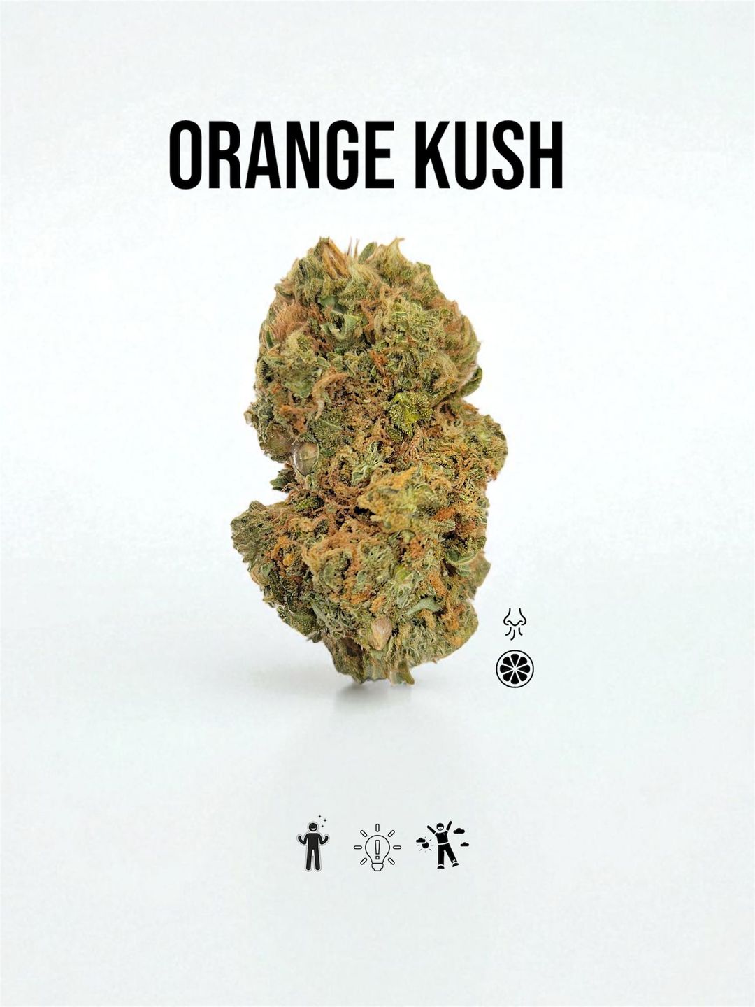 ORANGE KUSH