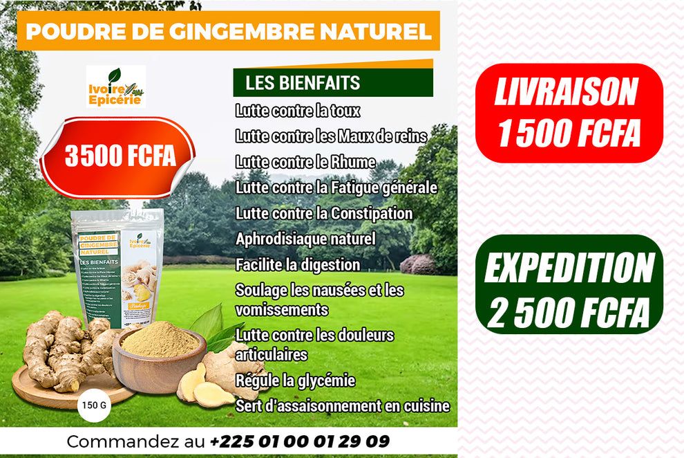 POUDRE DE GINGEMBRE 