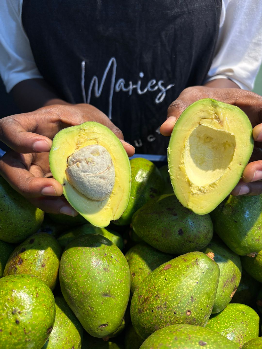 Avocado 3pcs