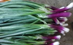 Spring onion 