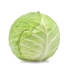 Cabbage 