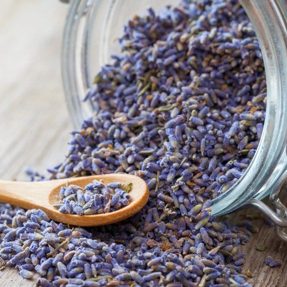 Lavender Buds