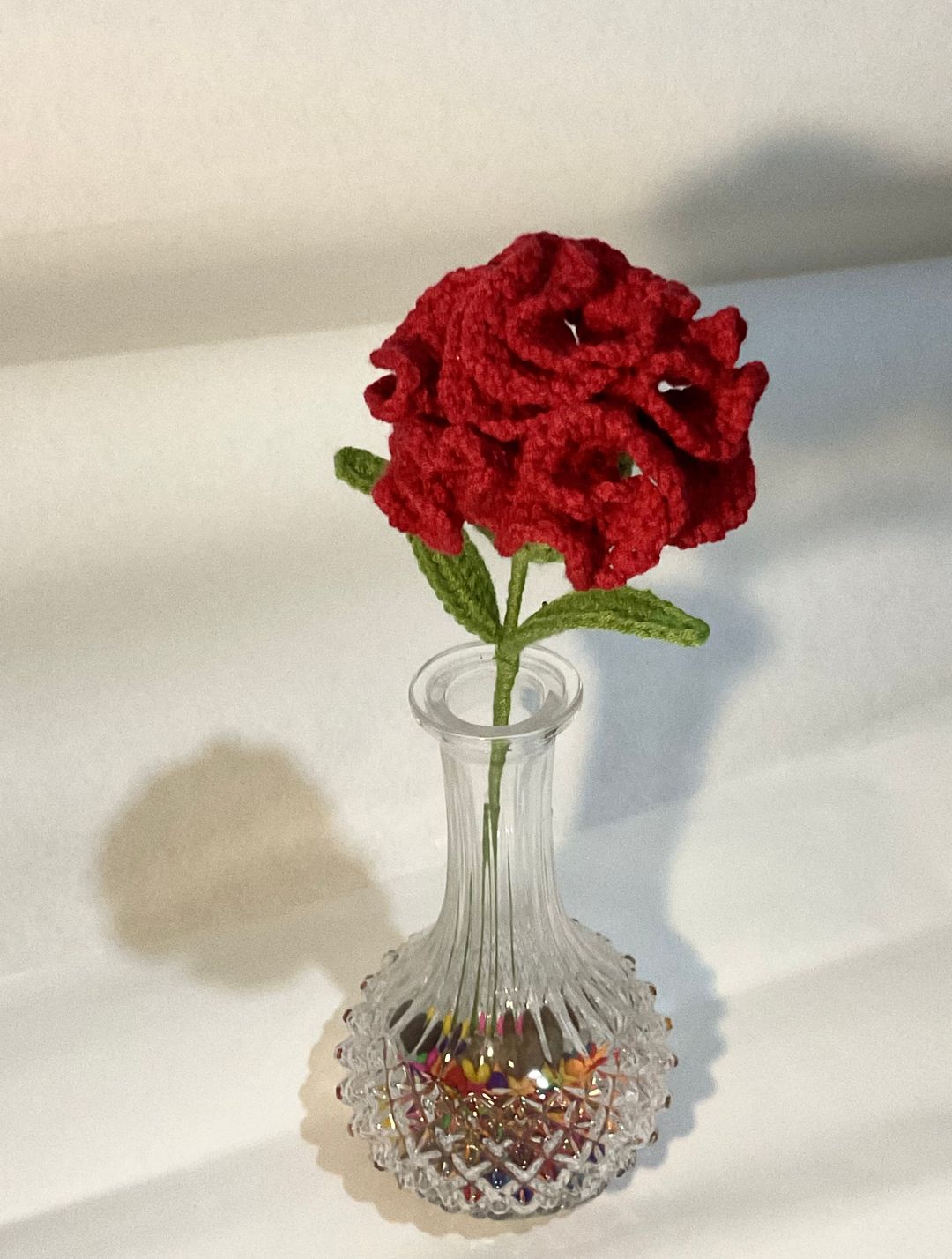 Carnation