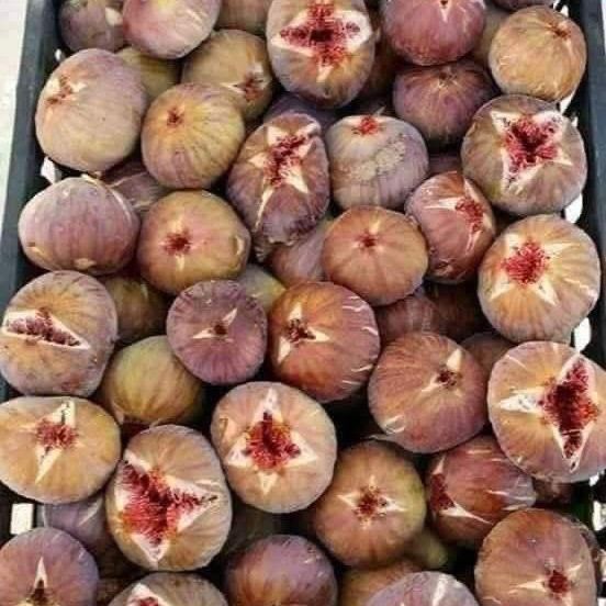 🍈 Figs