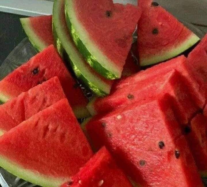 🍉 Watermelon