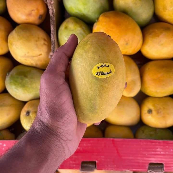 🥭 Awisi Mangoes 
