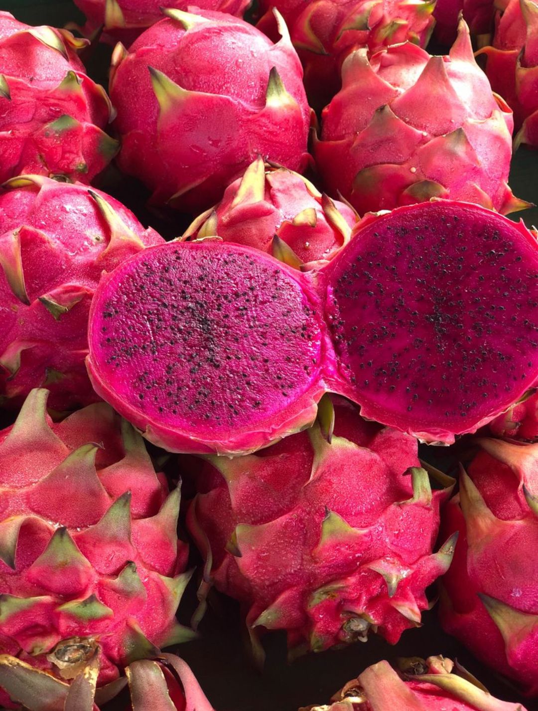 Pitahaya (Pink)