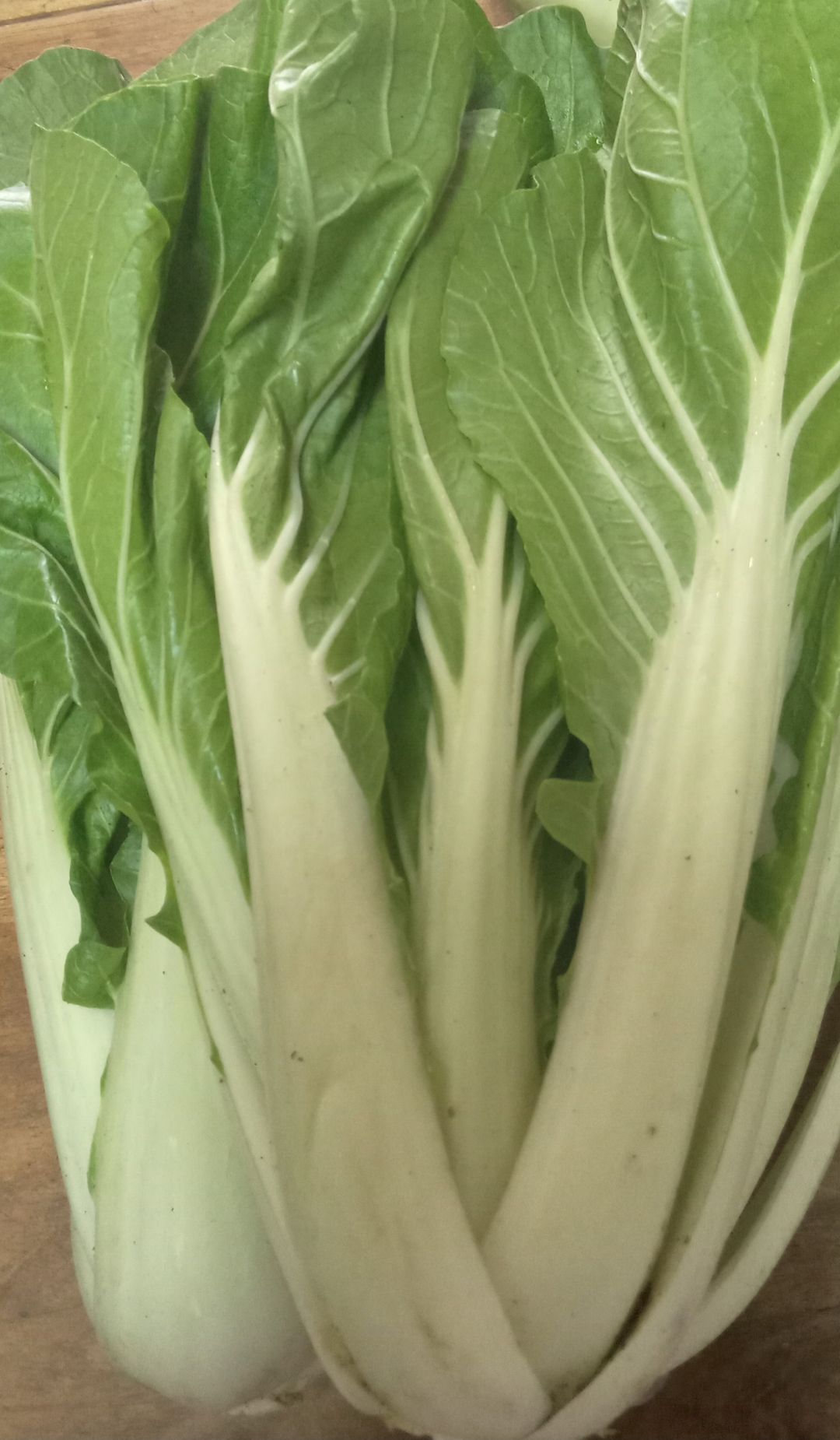 Bok choy
