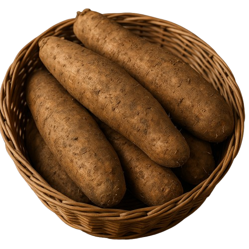 MANIOCS