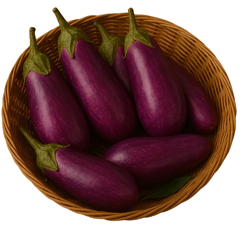 AUBERGINES