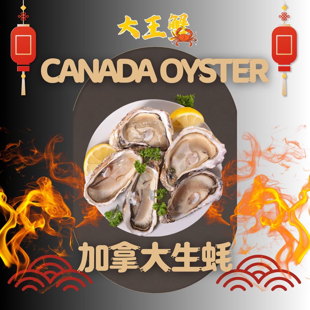 L CANADA OYSTER 加拿大生蚝 