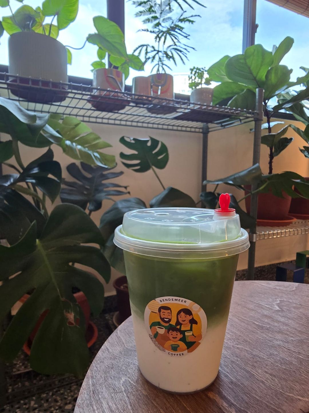 Iced Green