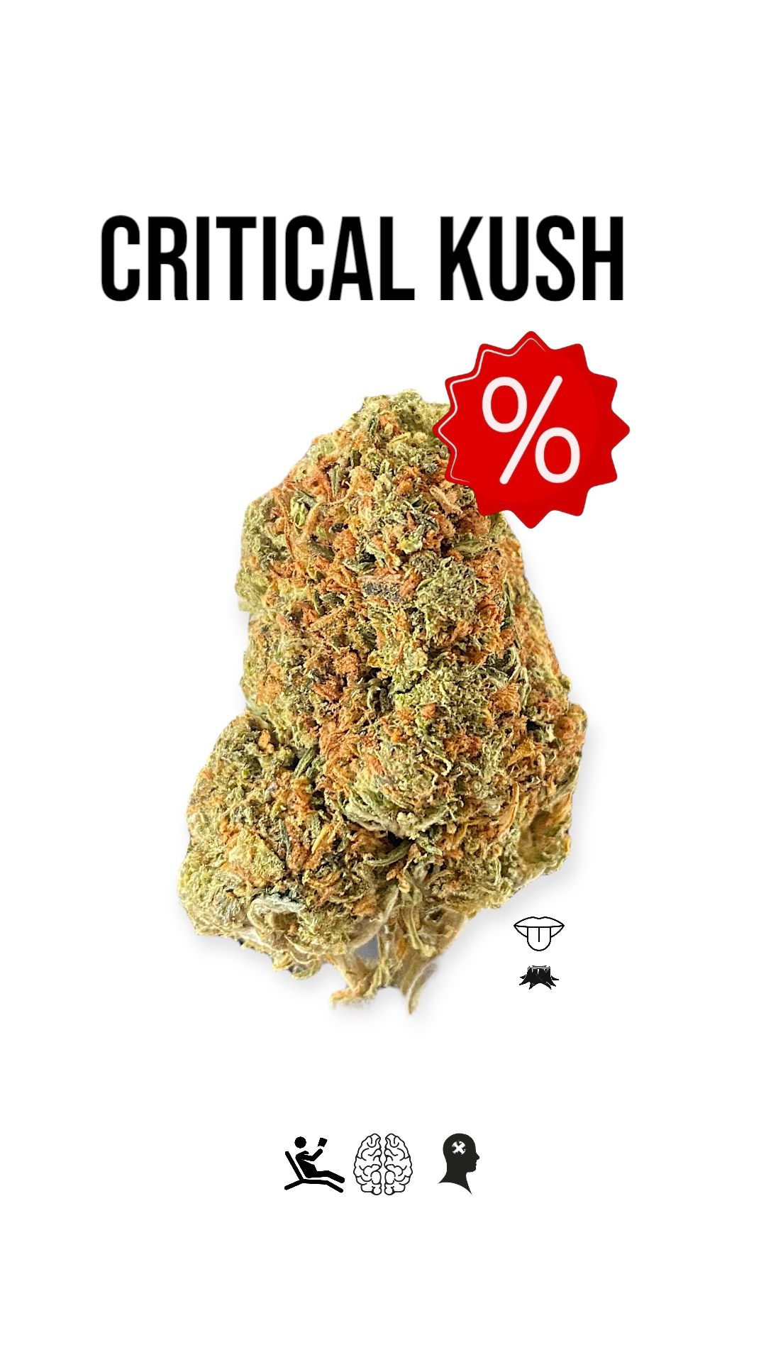 CRITICAL KUSH