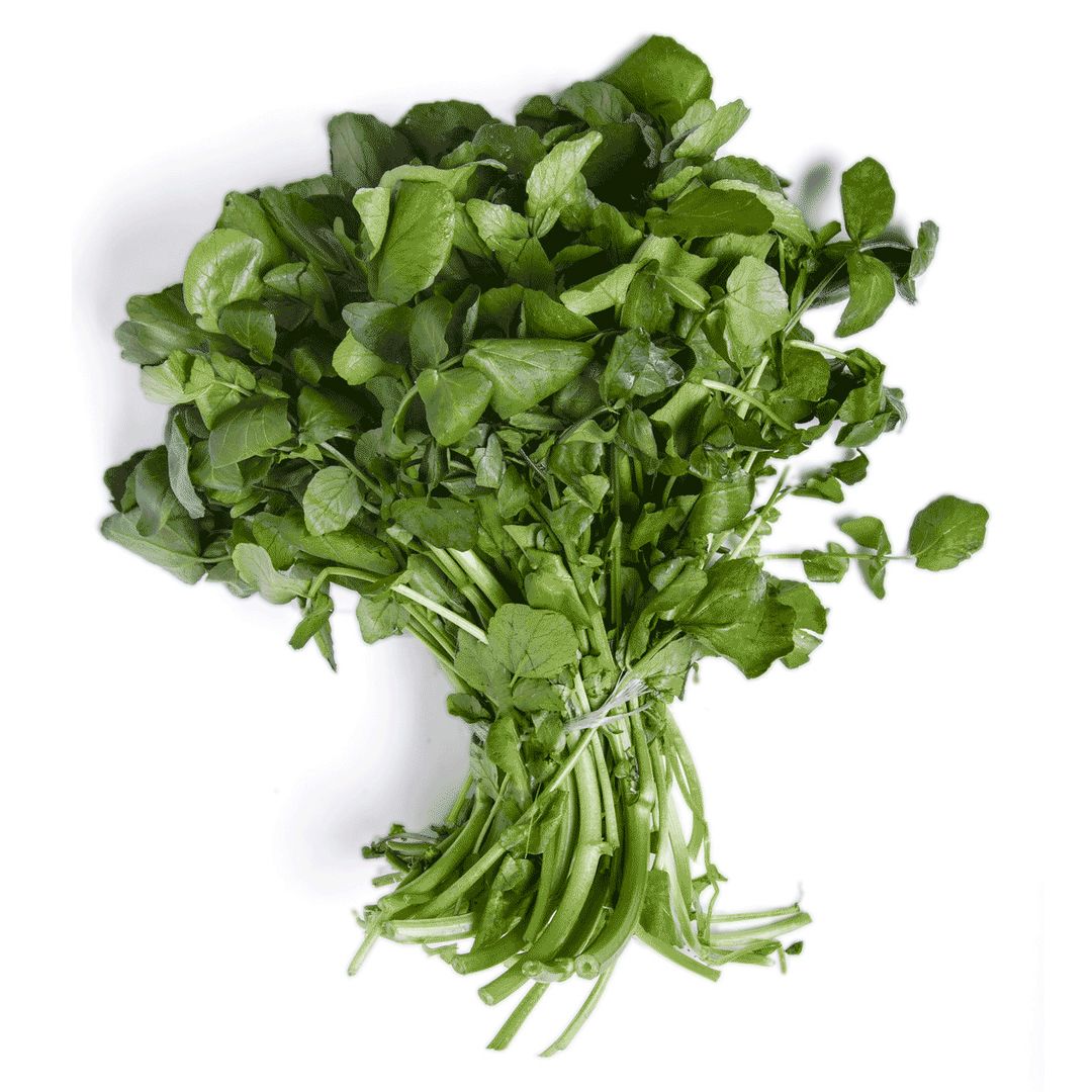 Cresson / Watercress