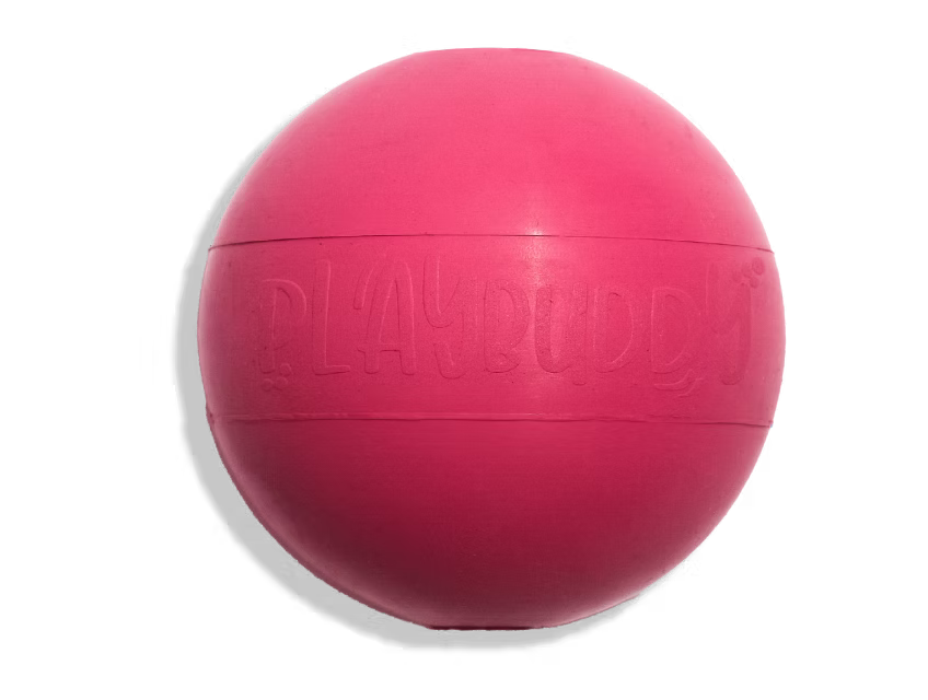 Ball PlayBuddy