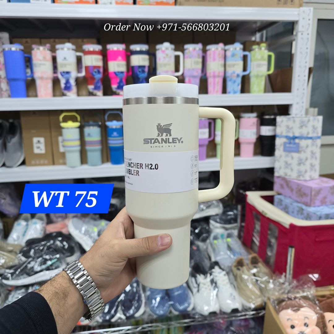 Stanley Tumbler 40 OZ Rendom Colors