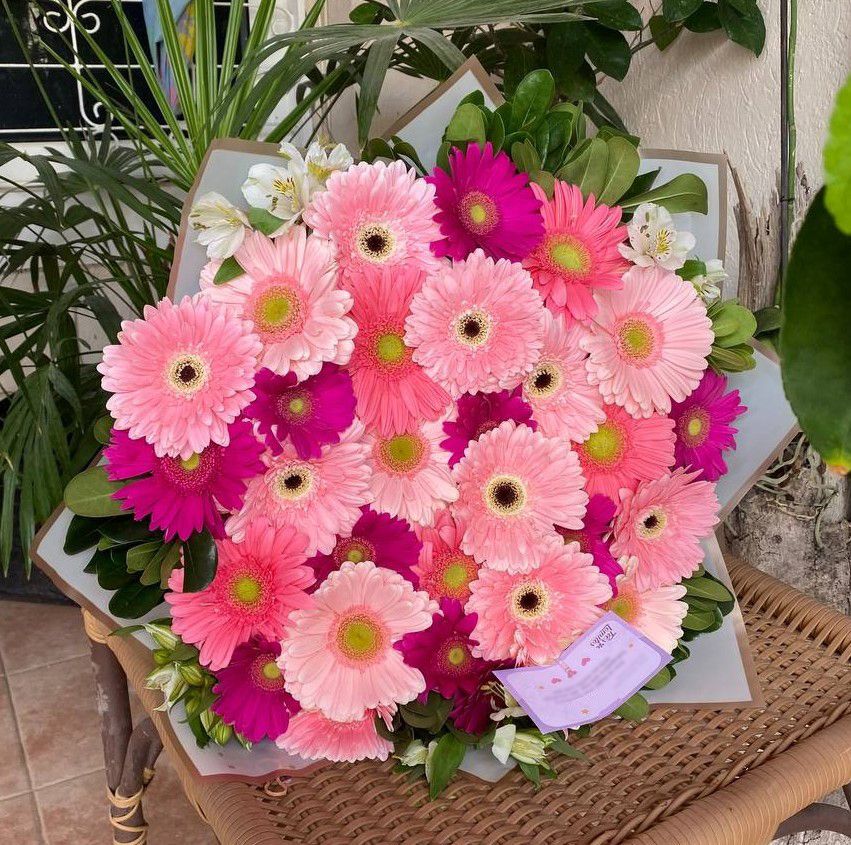 30 gerberas