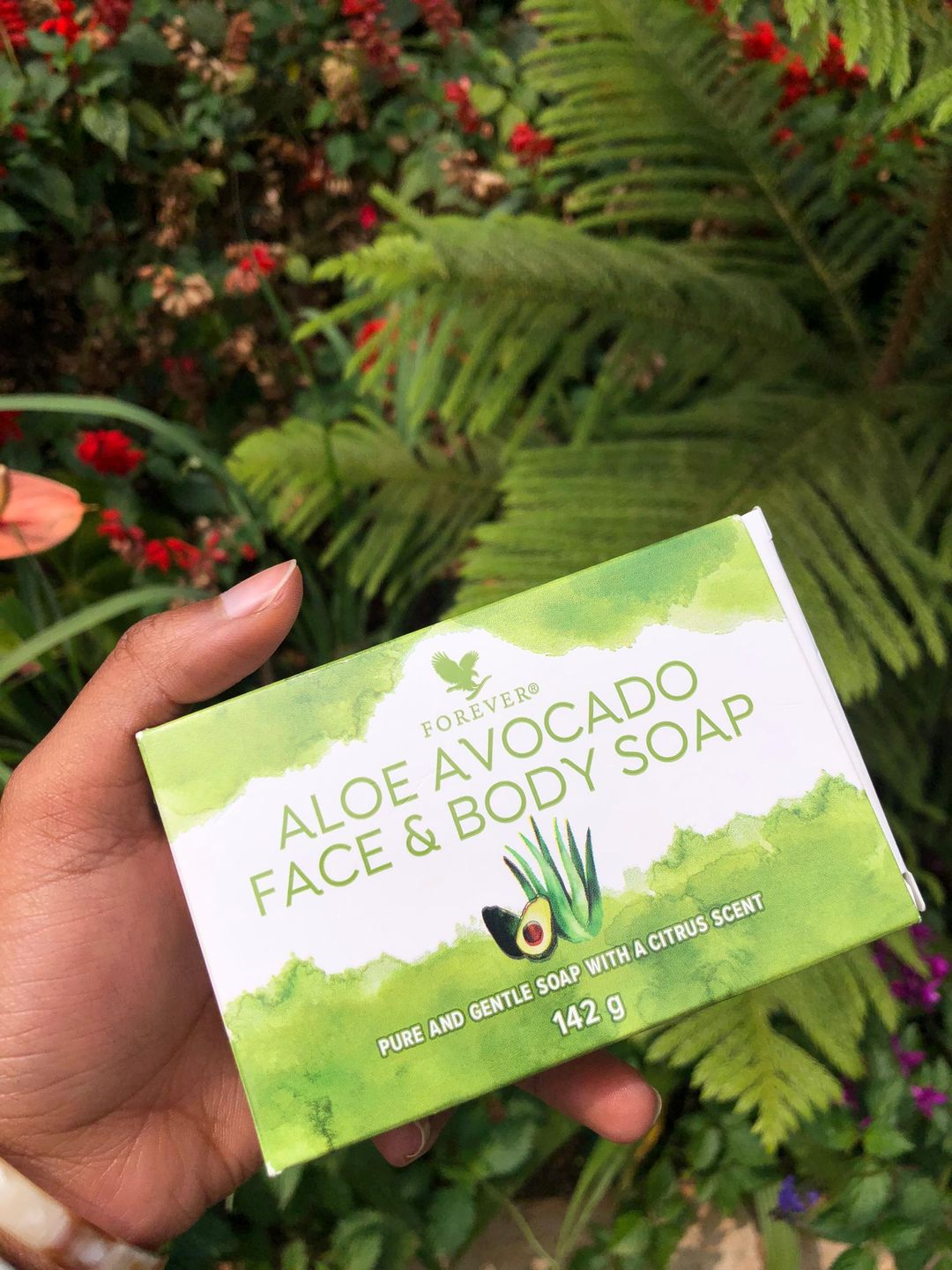 Aloe Avocado Face & Body Soap