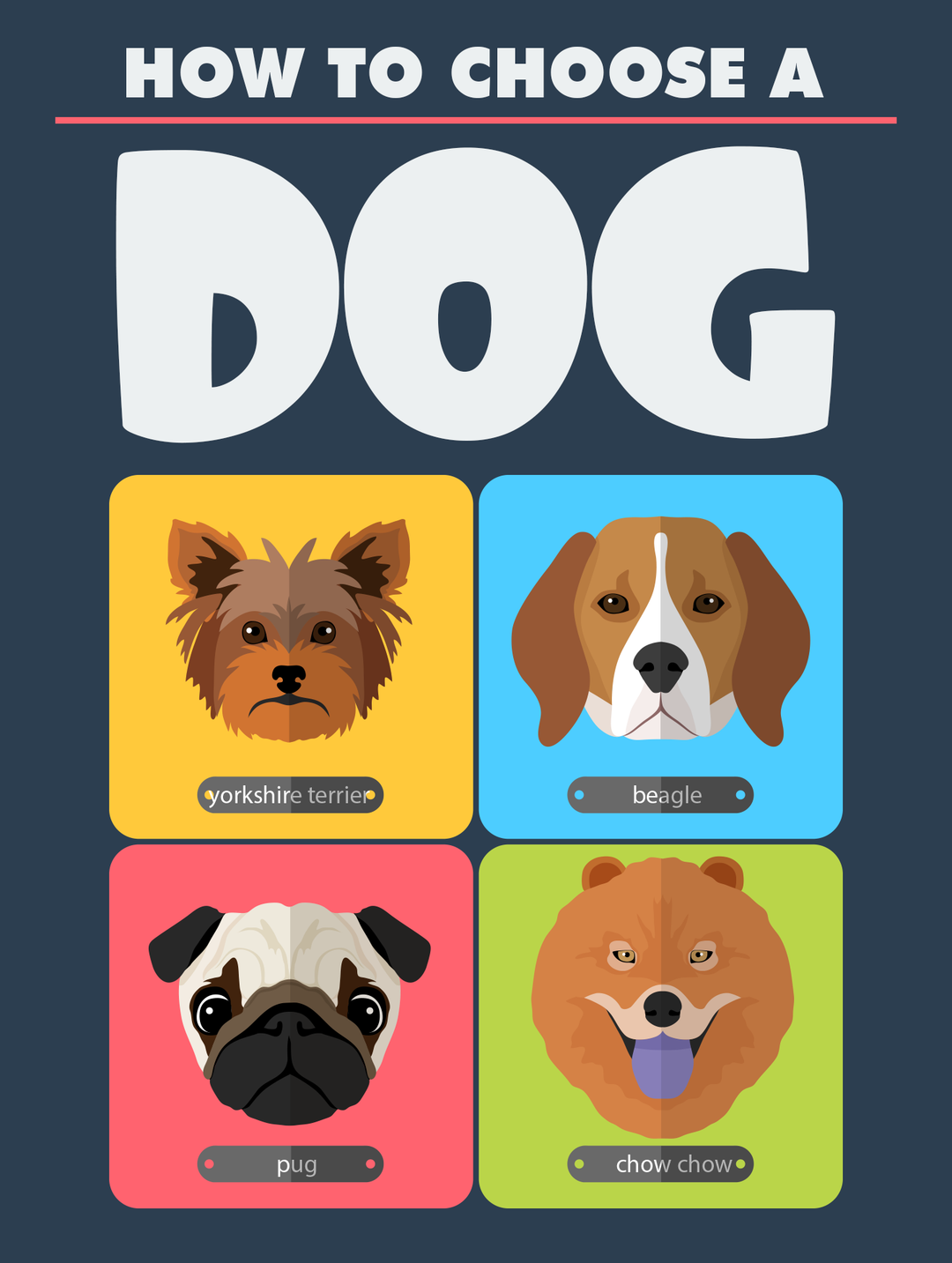 How To Choose A Dog