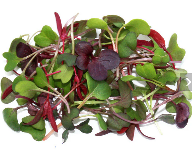 Microgreens – Mixed Greens 28g / Microgreens – Mezcla de Verdes 28g