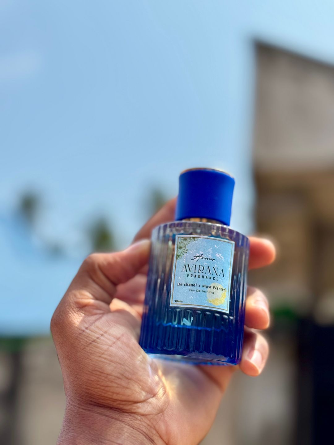Blue De Chanel x Azzaro (Most wanted)