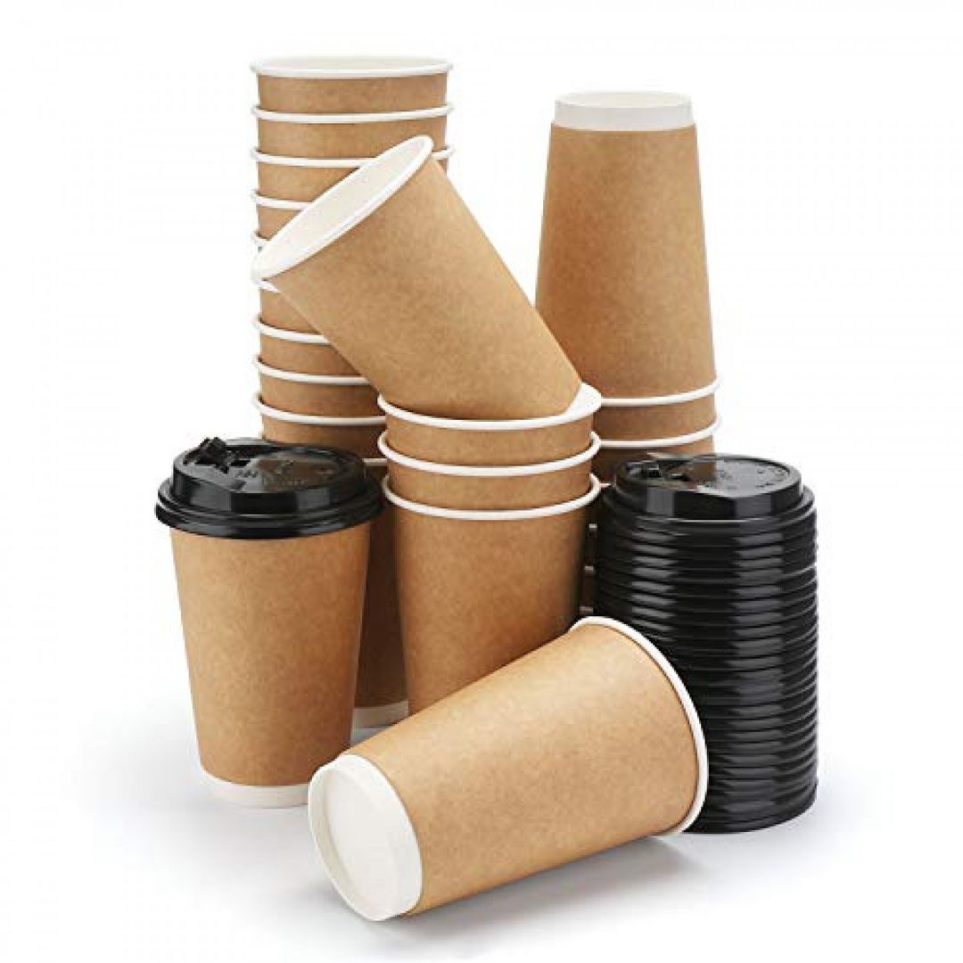 05. Plain Brown Double Walled Paper Cups 12oz (500cups)