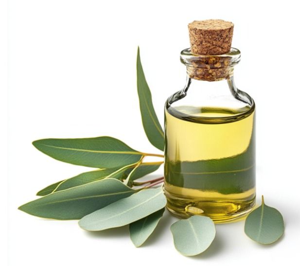 Aceite de Eucalipto