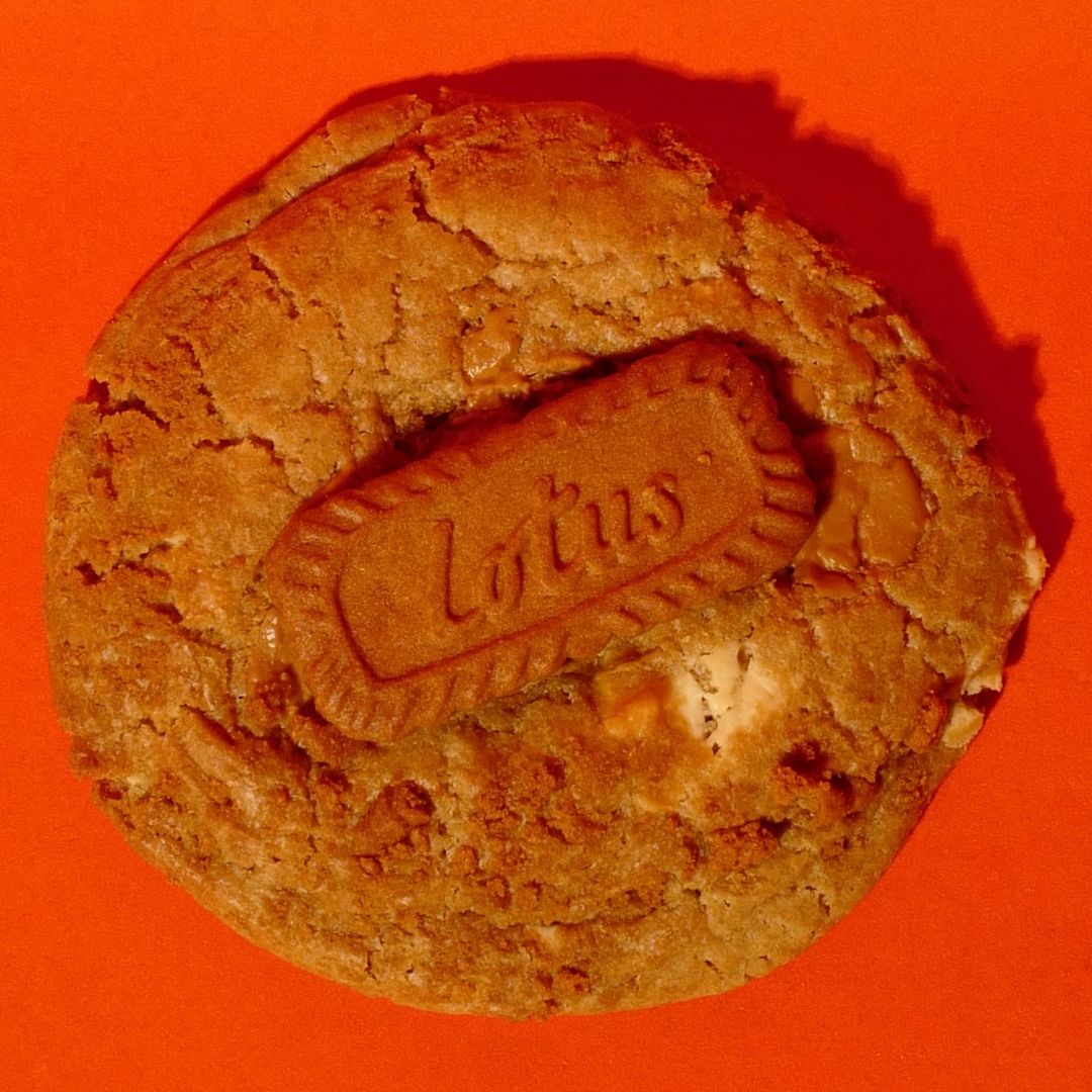 UR BISCOFF-IN