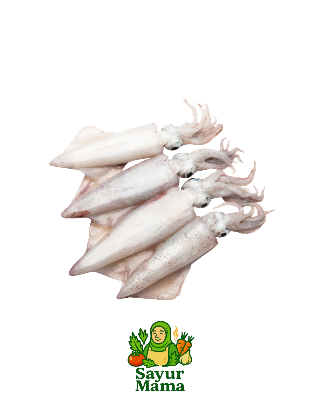 Cumi - Cumi