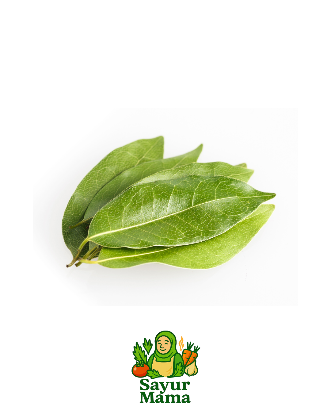 Daun Salam