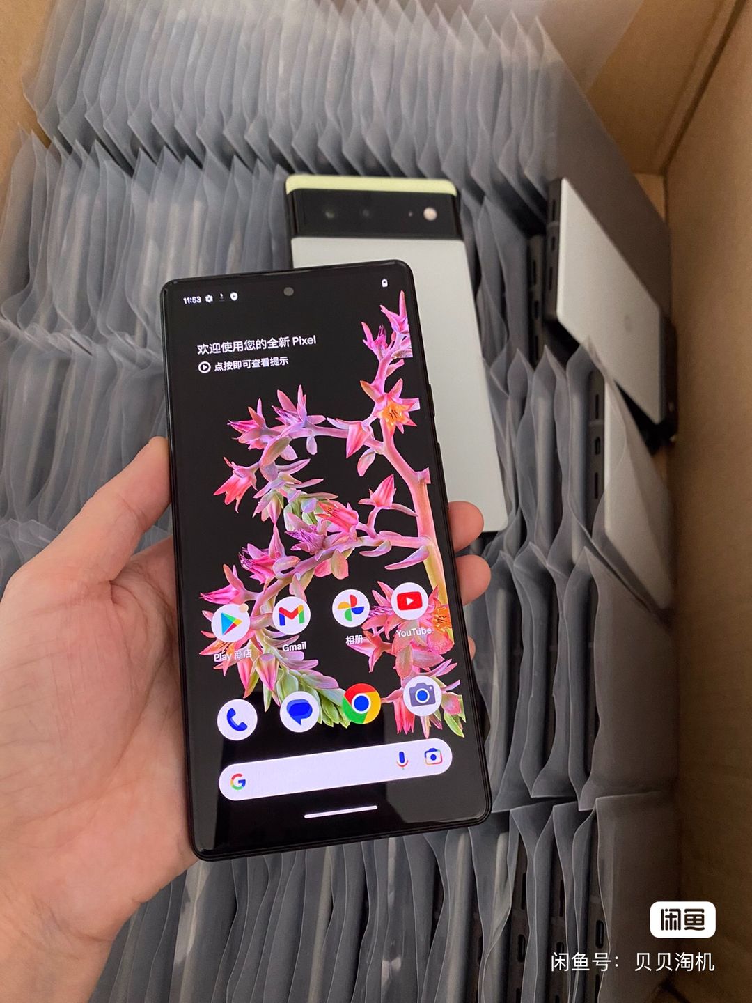 Pixel6