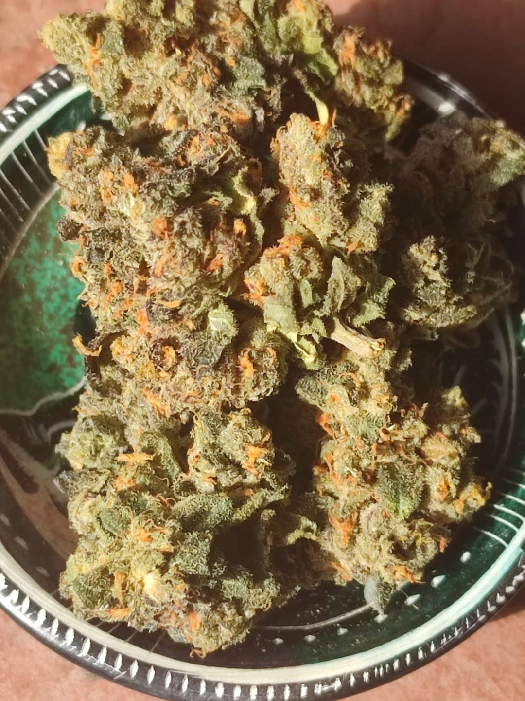 Gelato 41