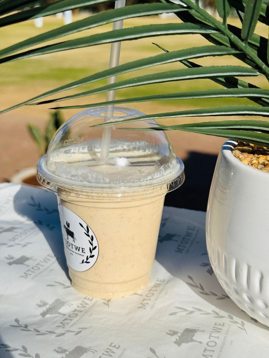 Banana, Peanut Butter and Chia Smoothie