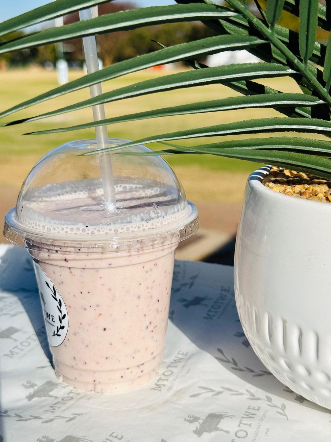 Seasonal Samba Smoothie