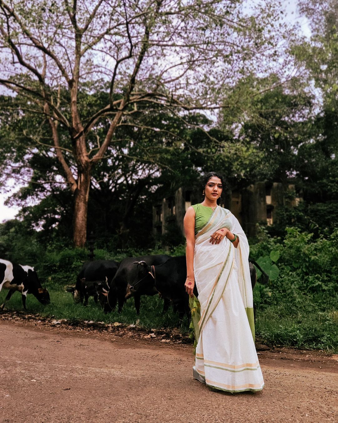 Green Colored - Mul Chanderi saree