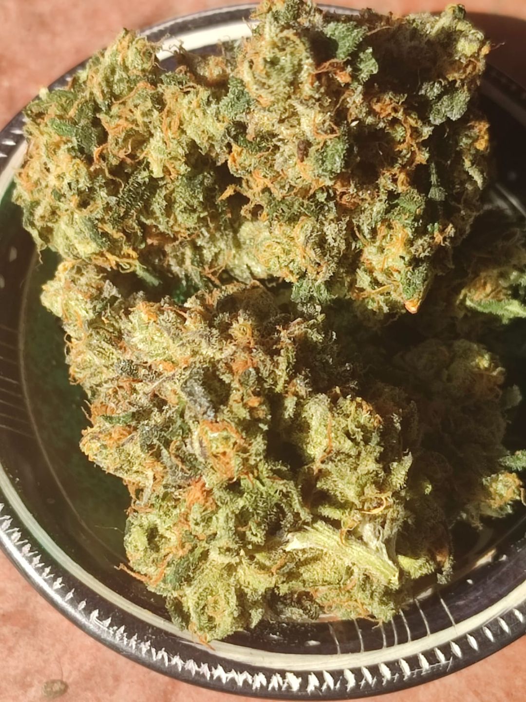 Dipz +