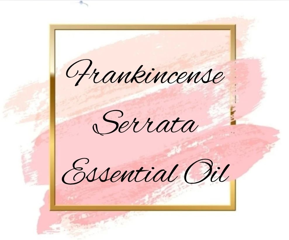 Frankincense Serrata Pure Essential Oil Organic (Boswellia serrata) 5ml