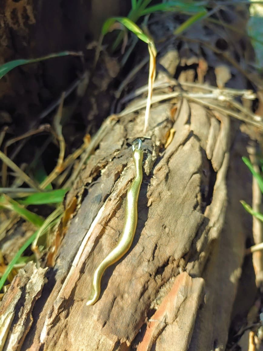 Snake Bronze Pendant