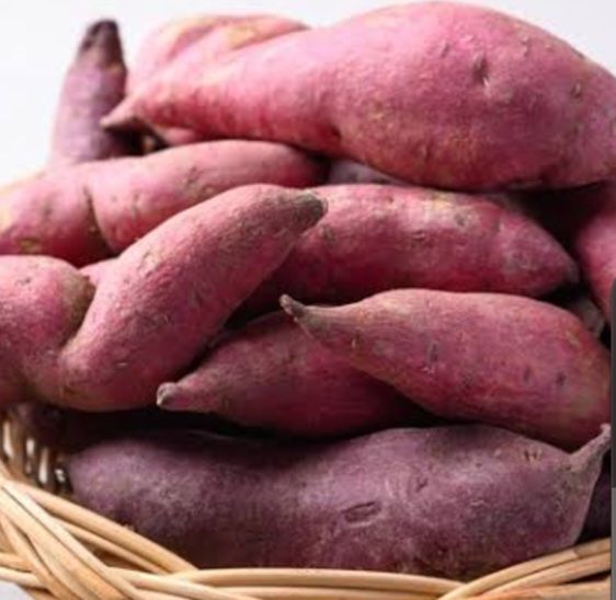 sweet potato 