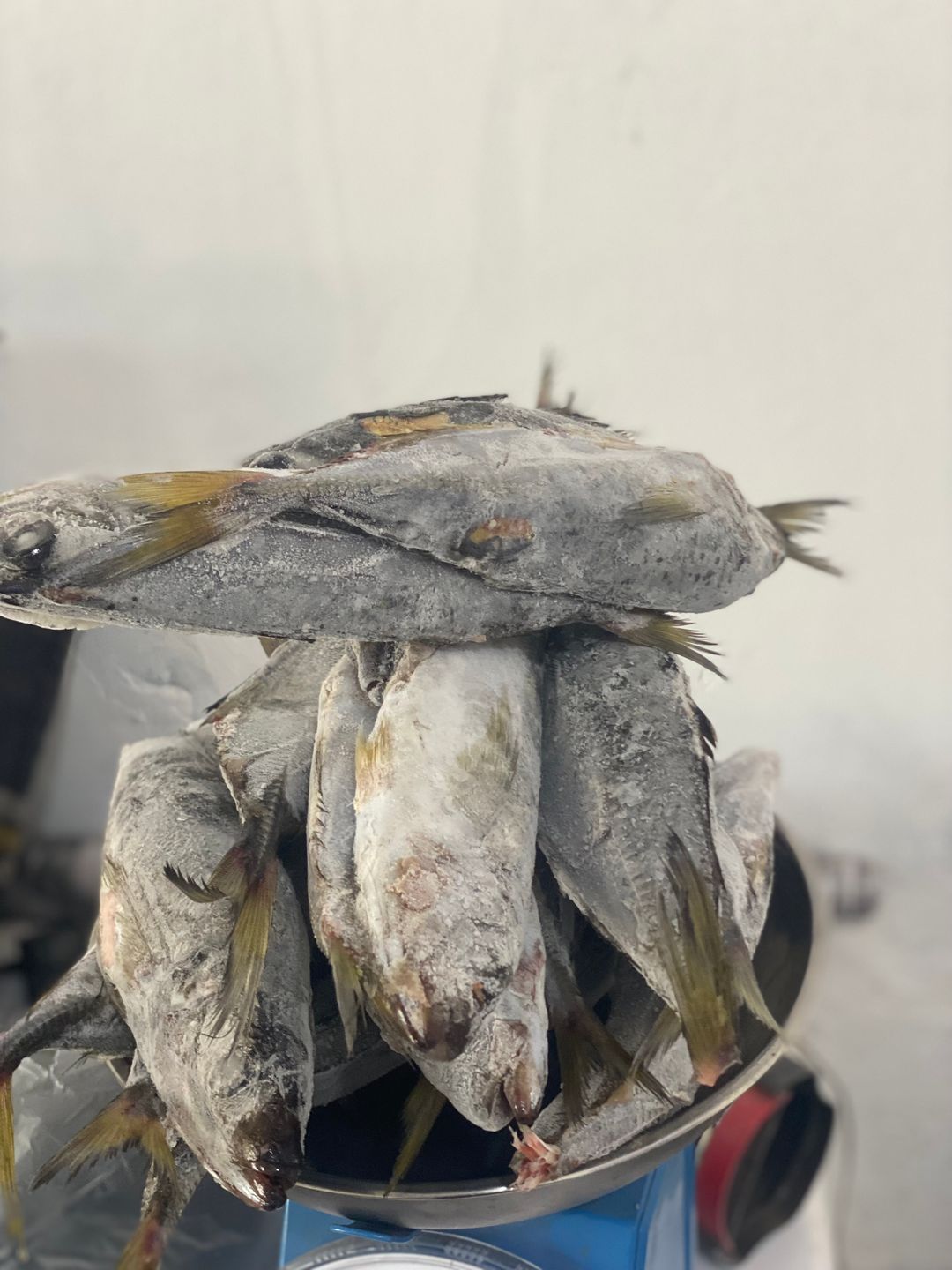 Kpanla 1kg