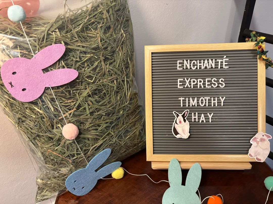 2nd cut US Timothy Hay (500g)