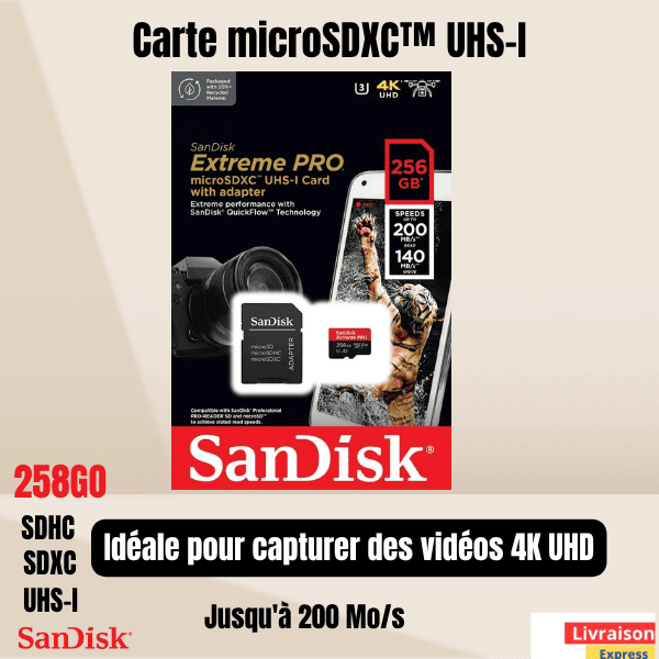 Carte mémoire A2 Sandisk 256Go