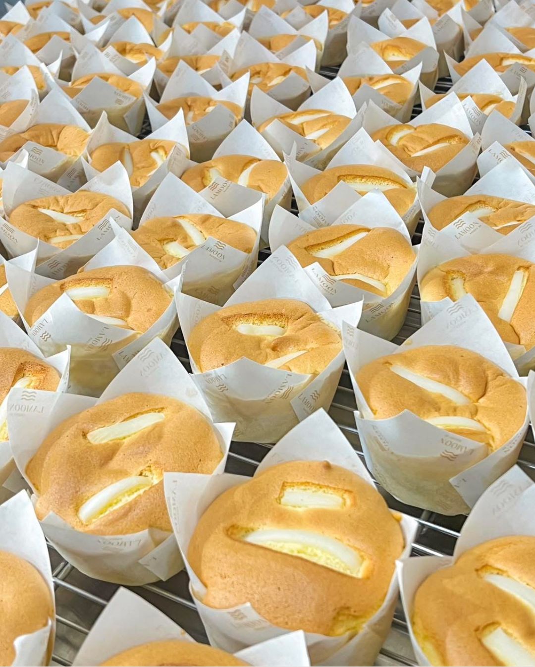 Coconut Pandan cupcakes set and coconut cupcake set 