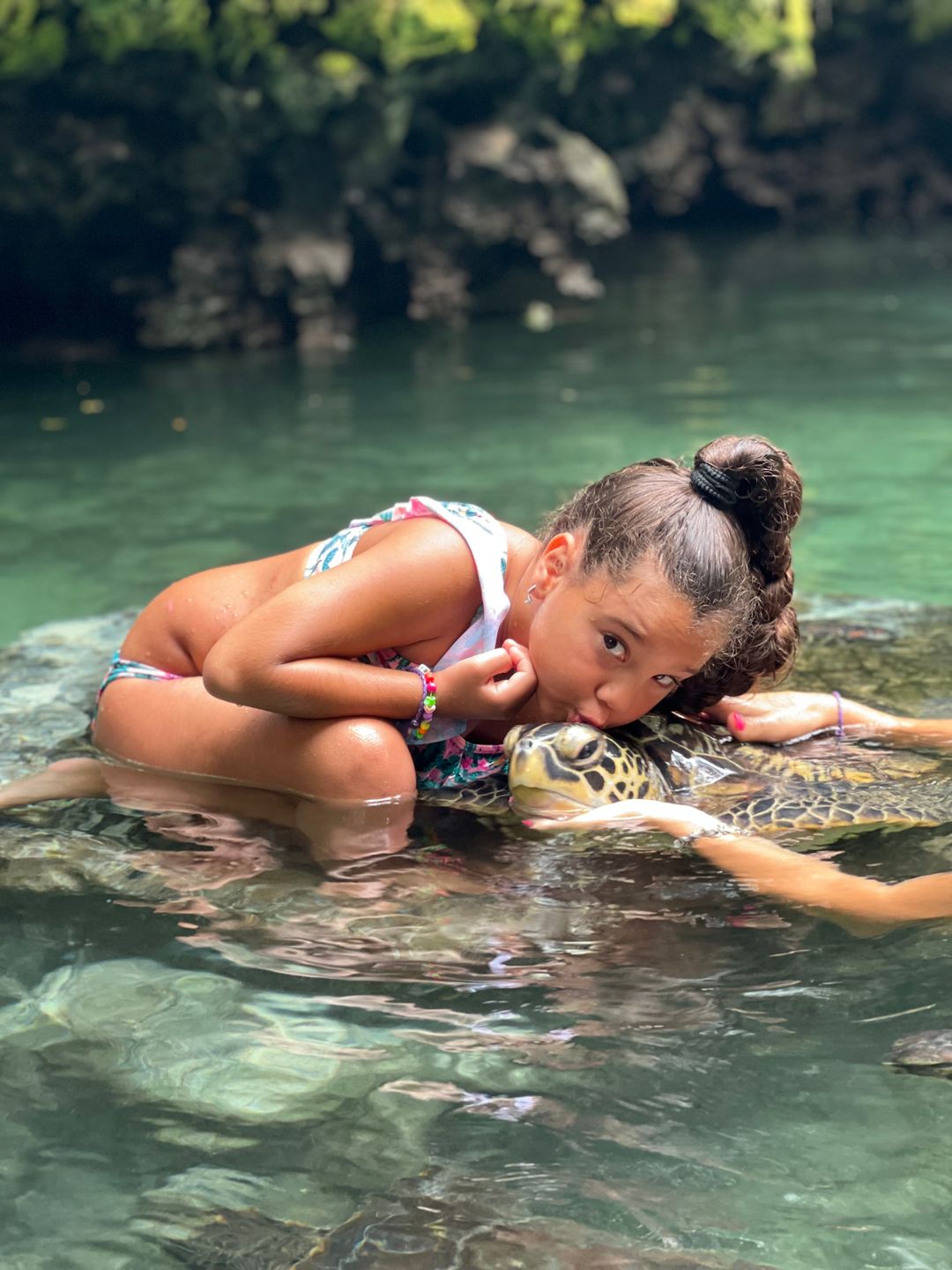 Swimming with turtles sanctuary 