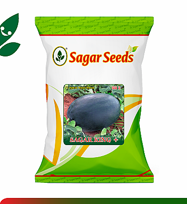 Sagar King + Plus